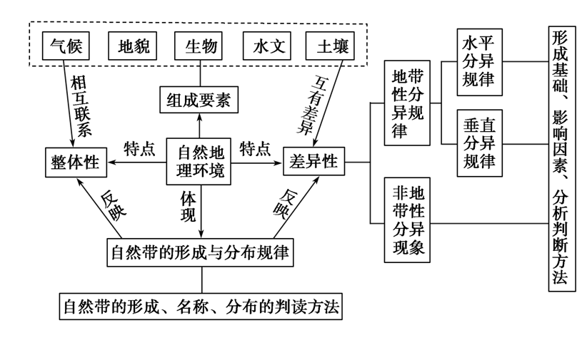 主要植被思维导图图片