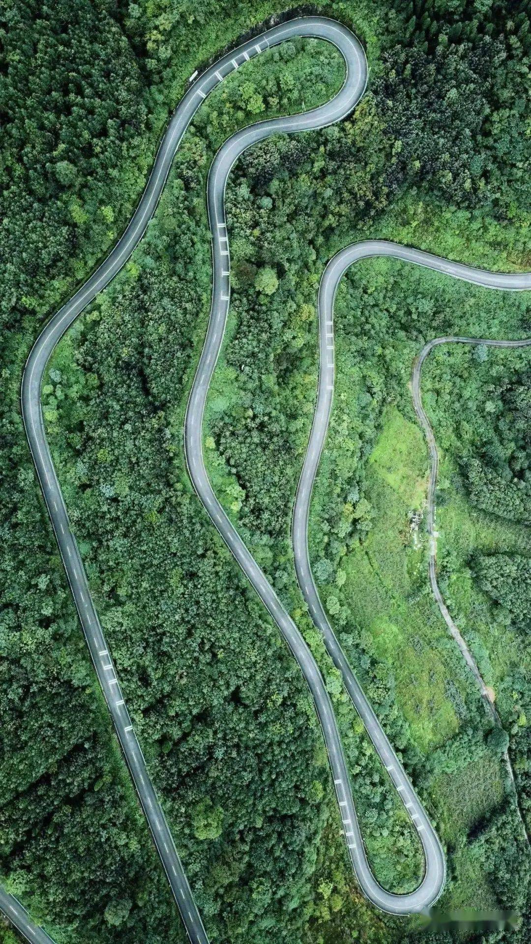 都江堰|赏避世桃源、游森林古道......都江堰这5处踏青小众秘境，带你开启一场治愈之旅~