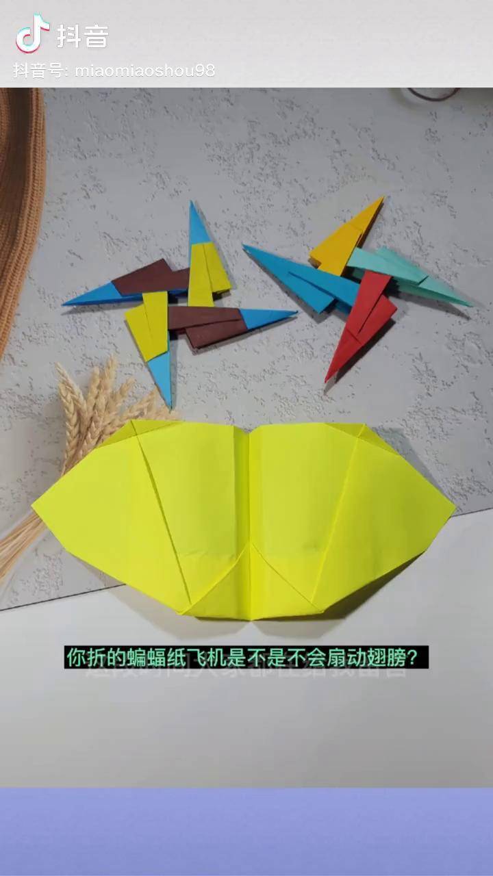 蝙蝠折纸飞机图片