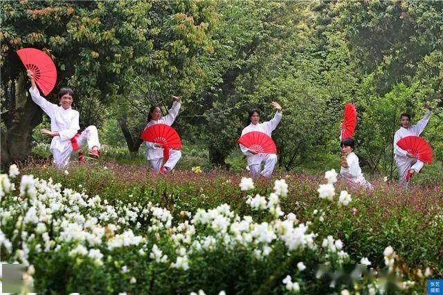 满园春色|赏桃花何须远行，桃花故里最仙境，广州白云山桃花涧让人流连忘返