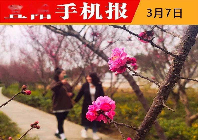 21年3月7日宜阳手机报 工作 韩城 刘碧辉