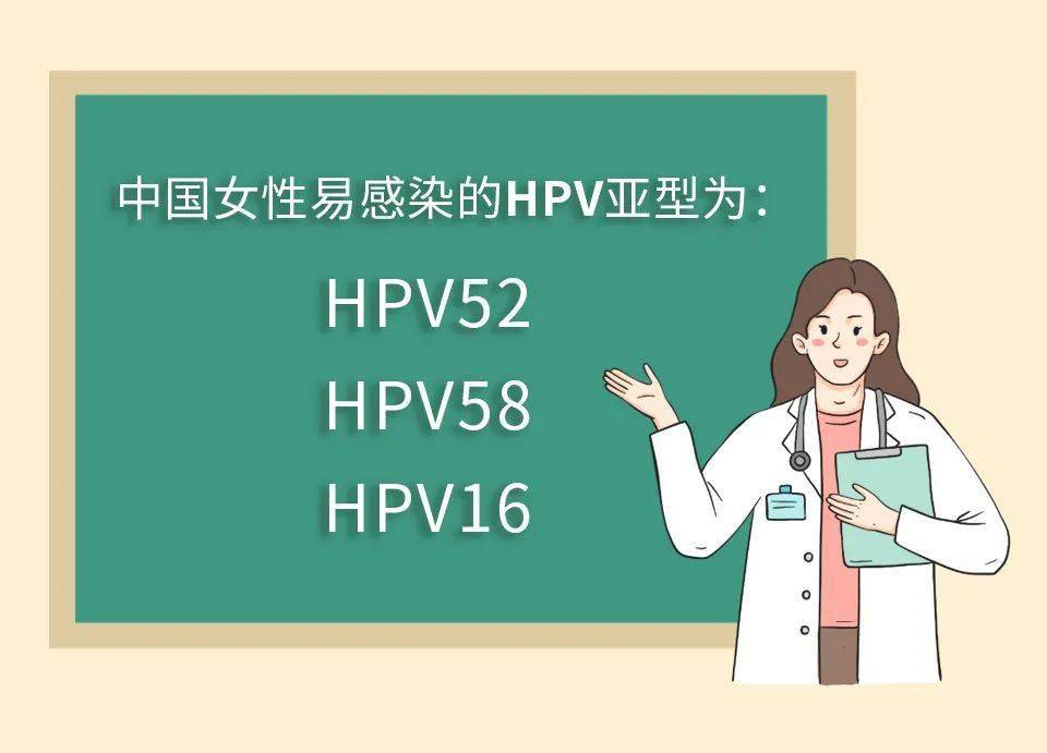 中国女性易感染的hpv亚型为:hpv52,hpv58,hpv16[3,a]