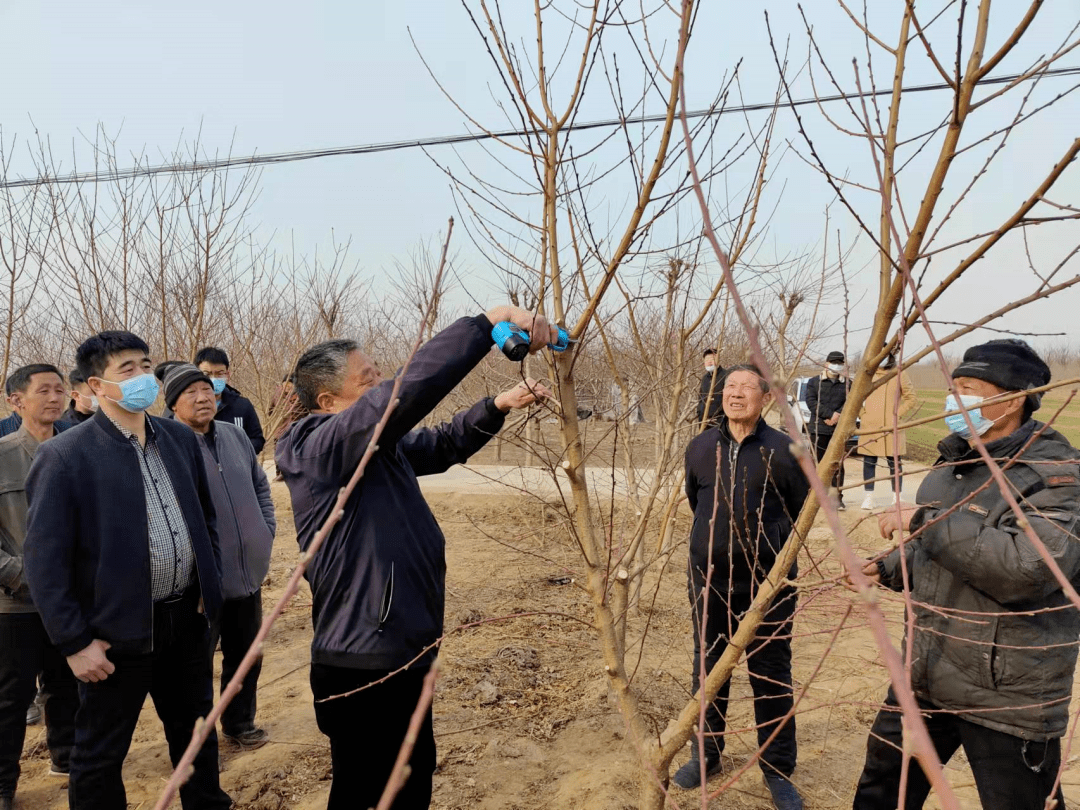 当天,原昌黎果树研究所所长董文成,昌黎县果树基地负责人王耀信来到东