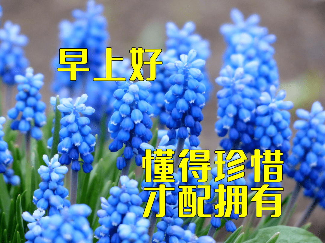 3月7日最漂亮的早上好動態表情圖片大全,早上好動圖美圖大全!