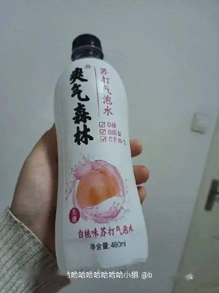 元气森林变爽气森林品牌方哭晕在厕所