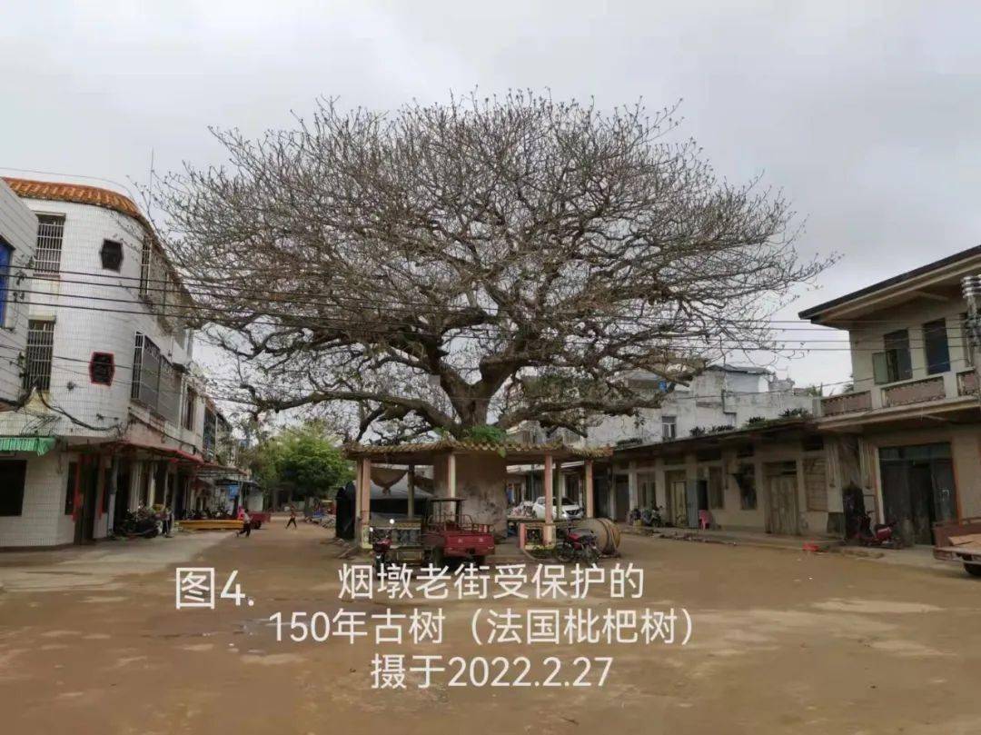 故乡人故乡事短文系列我也说说烟墩往事之三烟墩市海丰市冯家埠