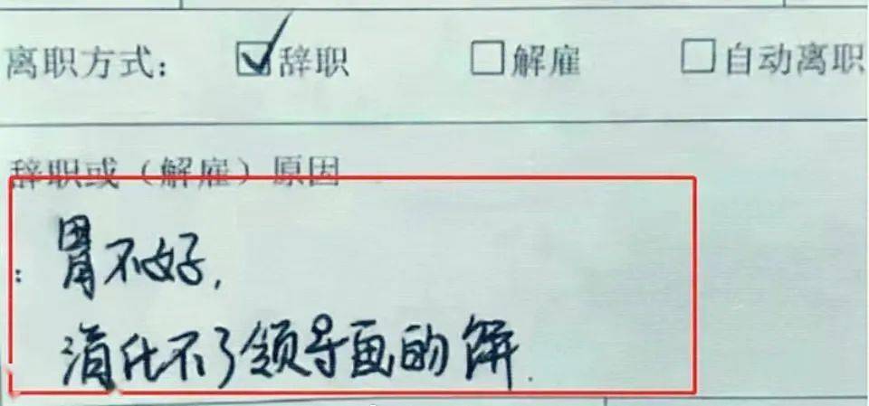 老子00后当场把老板给开了??好家伙老子真的开眼了…