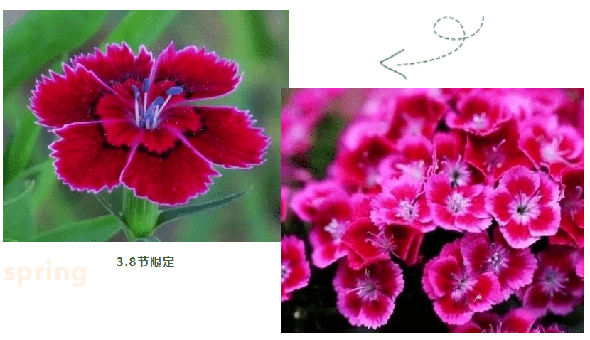 女神今天“三八节”，送你眉州春日限定“美妆”三件套！