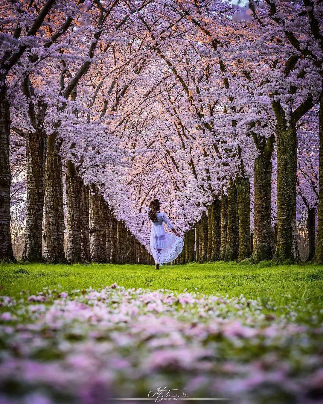 林间小道,唯美治愈!_心灵_人本_净土