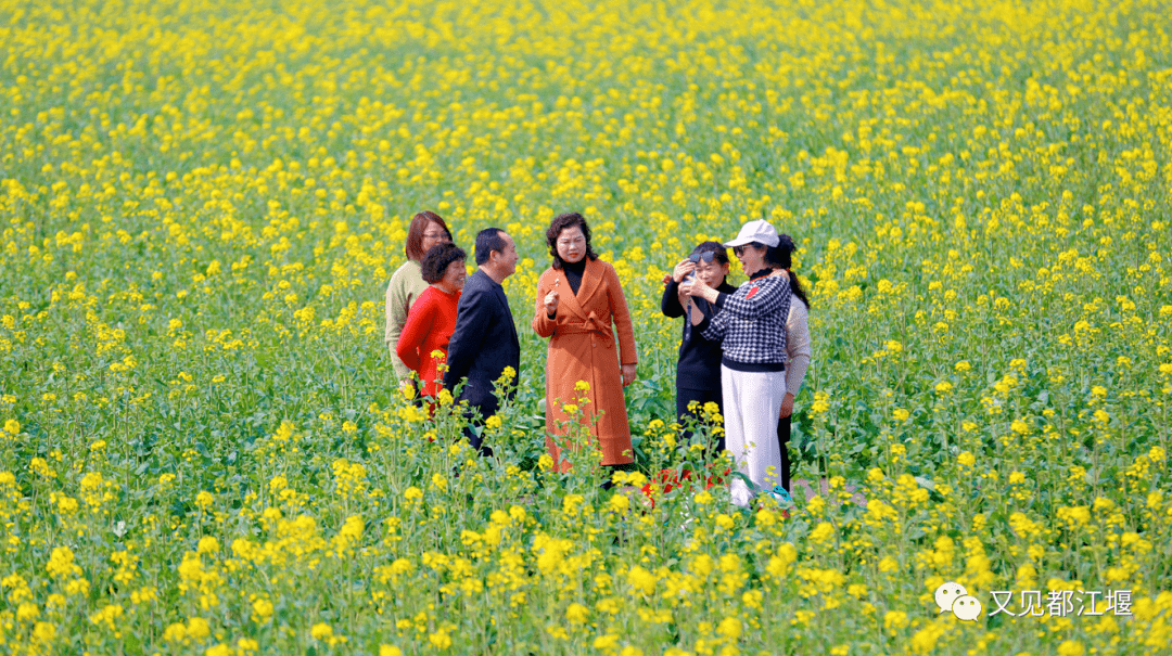 都江堰|小姐姐看过来！都江堰女神节宝藏打卡地，总有一个专属于你！