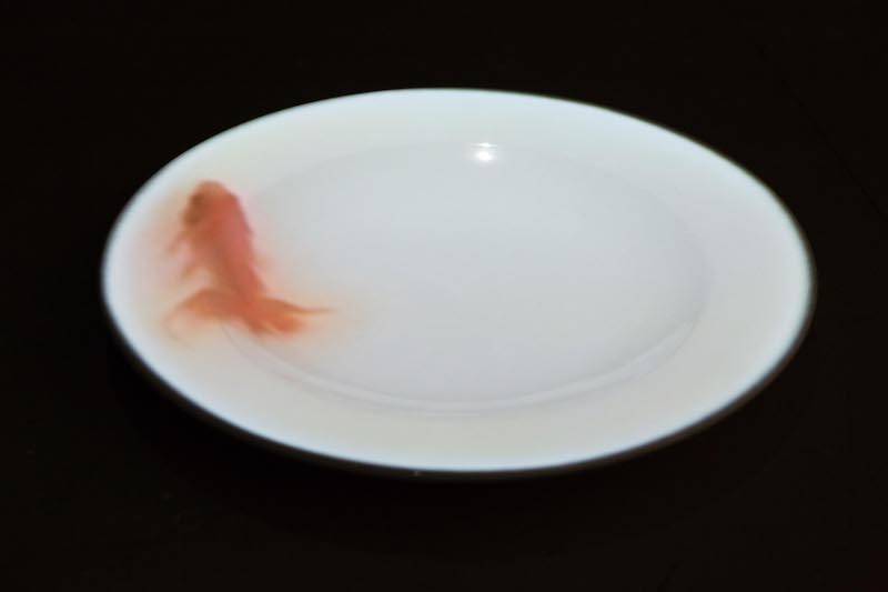 东亚|从白南准看起，重新聚焦东亚录像艺术的兴起