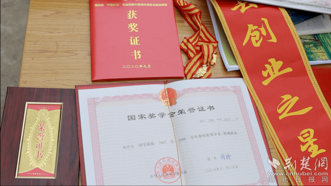 三八特辑|高丹丹,一根枝条插出12万株园林苗圃_创业_苗木_大悟县