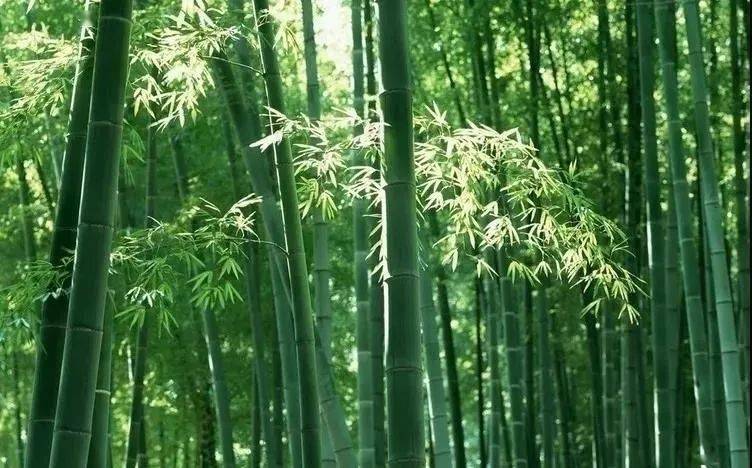 女神今天“三八节”，送你眉州春日限定“美妆”三件套！