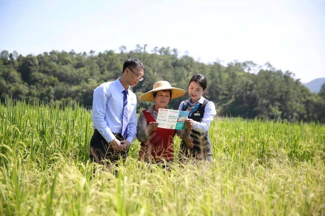 农业银行春回大地蓄力量金融活水润三农