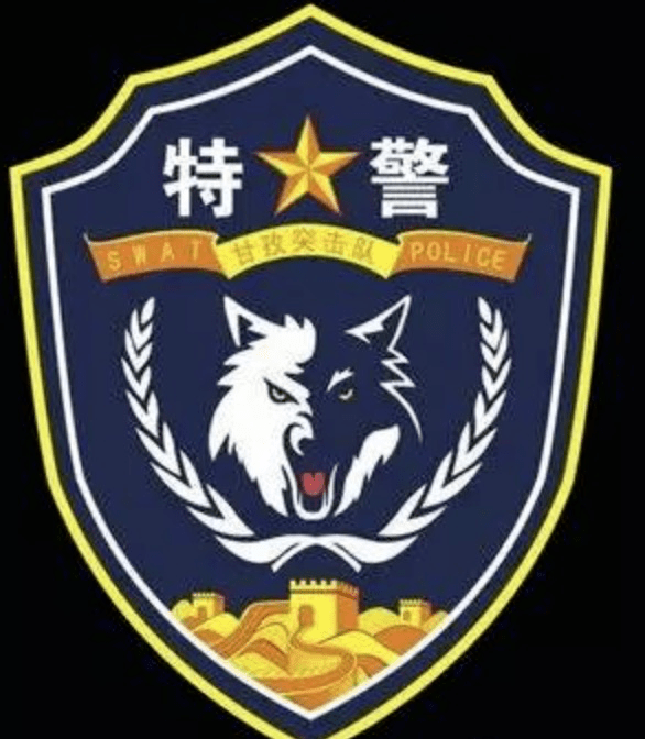 全国特警臂章大全