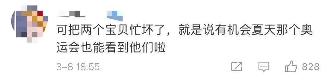 爱凌|苏翊鸣、谷爱凌要来海南训练冲浪项目？网友：冬、夏两用型运动员！