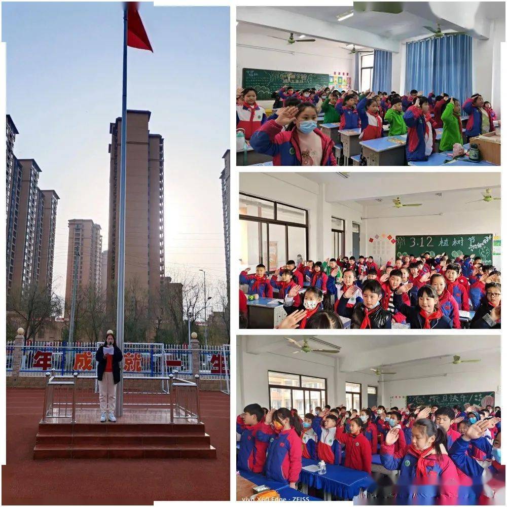 团青动态沈丘县新区实验小学开展学雷锋月系列活动