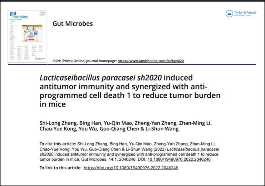 肠道|上海专家新发现：副干酪乳杆菌增强PD-1抗体治肿瘤的效应