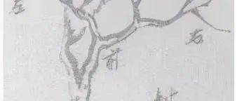 国画之“树”——分枝法_树枝_枝条_规律