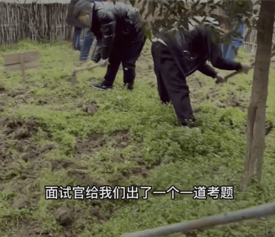 成都一公司给面试者发锄头，HR回应：不愿挖地说明适应能力不强_环节_视频_观察面