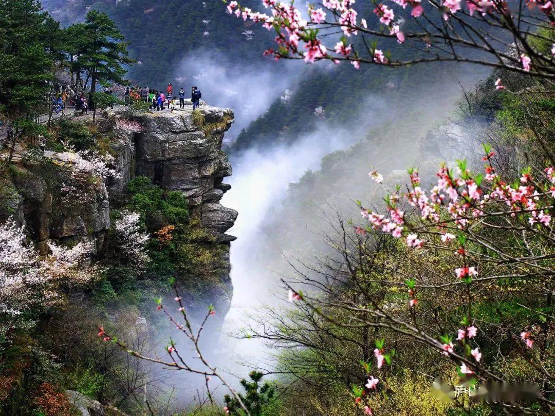春暖花开时,快来庐山踏青赏花吧!_春风_景时_梅影