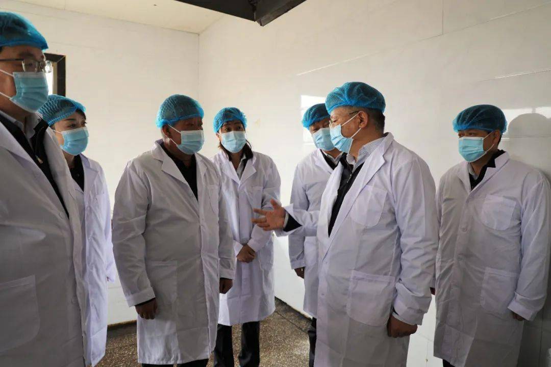 3月9日,平凉市委书记周伟在华亭市调研指导重点产业链建设工作.