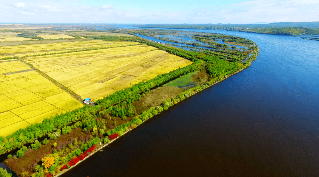八五九农场释放营销新势能_经营_模式_种植户