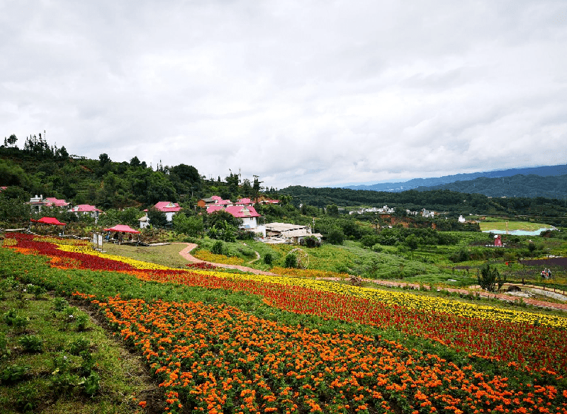 邦东乡昔归村荣获临沧市第二批乡村旅游品牌村