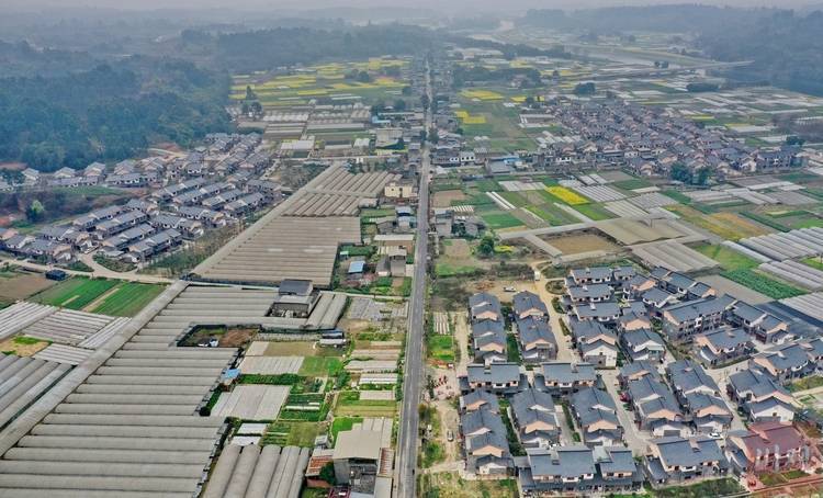 成都双流:产村相融焕生机 春意盎然新村美_永安镇_新居_产业