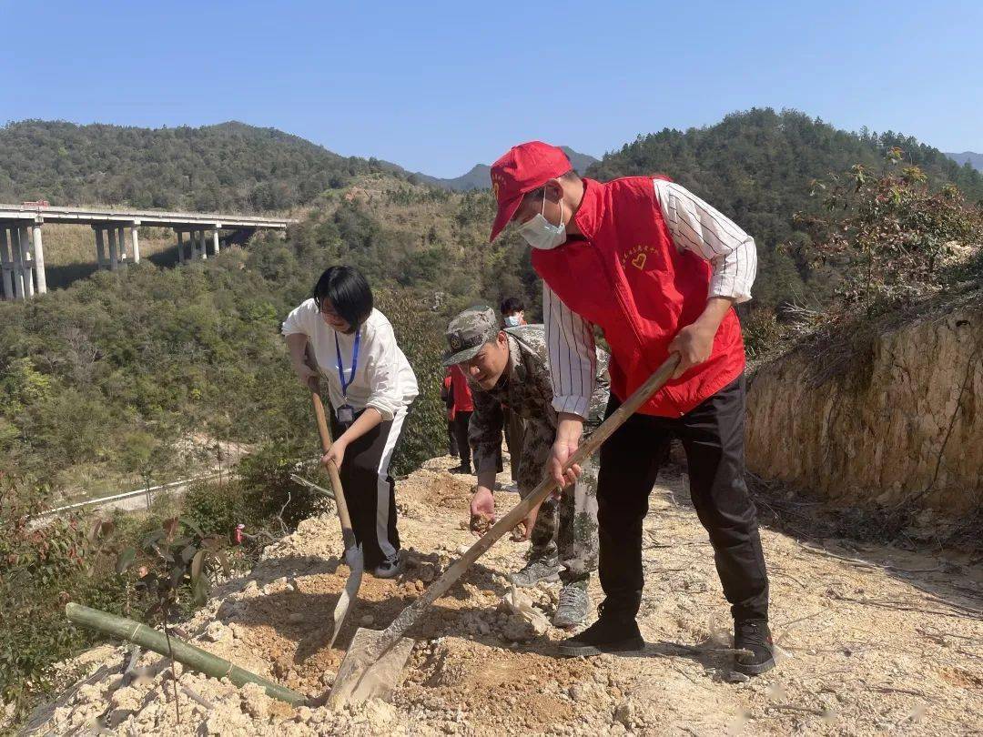 乐峰植竹添新绿不负好春光桉树套种马蹄笋项目启动啦