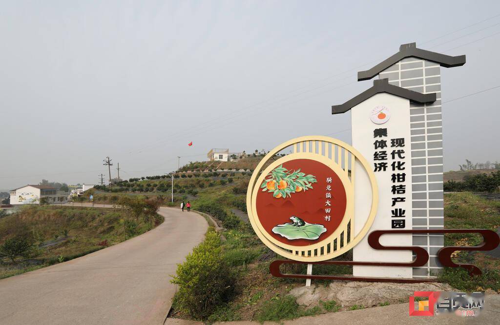 从落后村到乡村振兴示范村的蜕变走进富顺县骑龙镇大田村