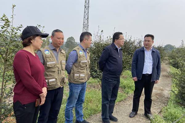 3月9日—10日,省林草局宾军宜副局长到荣县调研油茶产业发展情况.