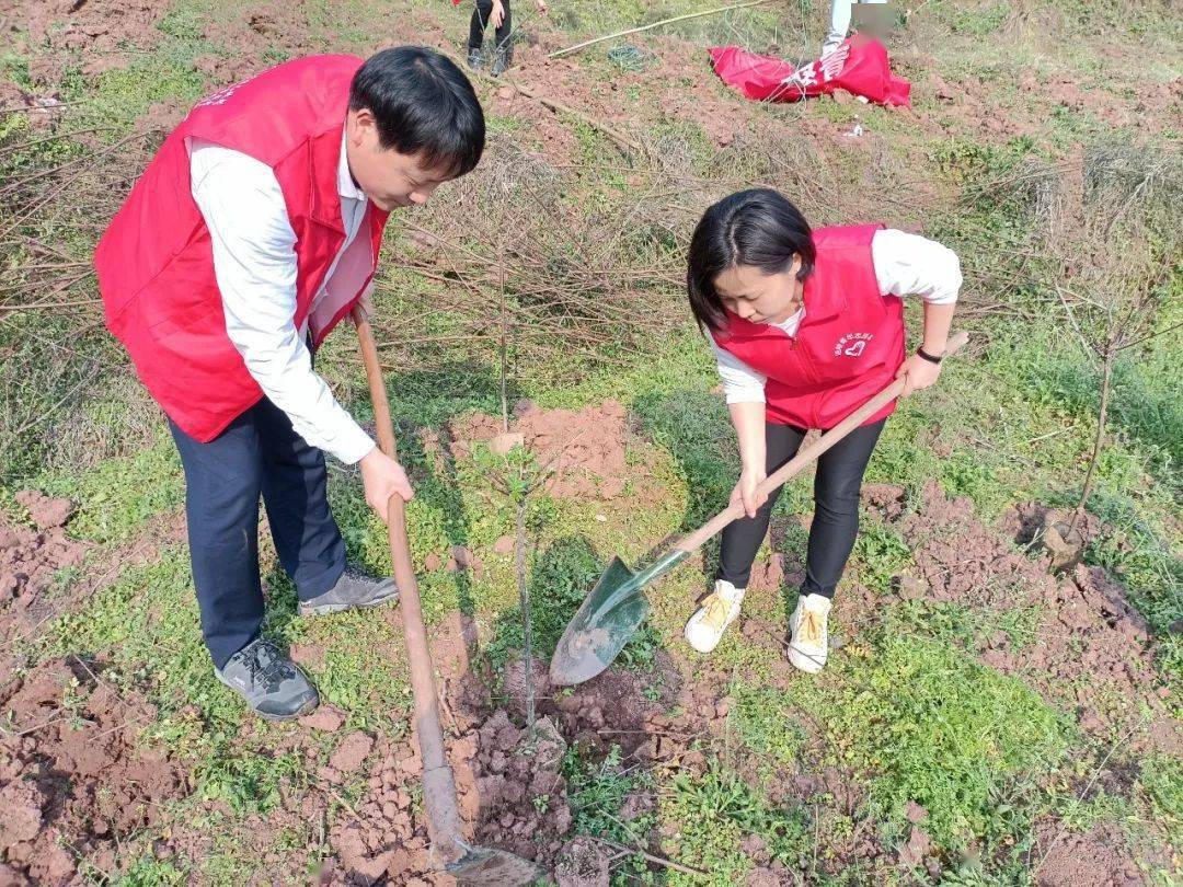 植樹正當時涪陵區各級團組織開展植樹節志願服務活動