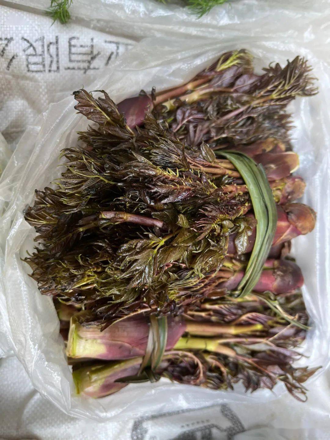 楚雄市場內山茅野菜上市小時候的味道你吃過多少多圖