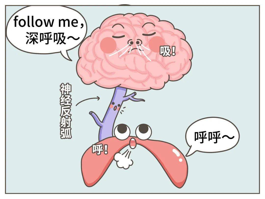 一个常见的小毛病,民间智慧比医生更管用_反射弧_神经系统_方法
