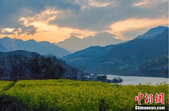 花海|甘肃文县大山里的“花海”