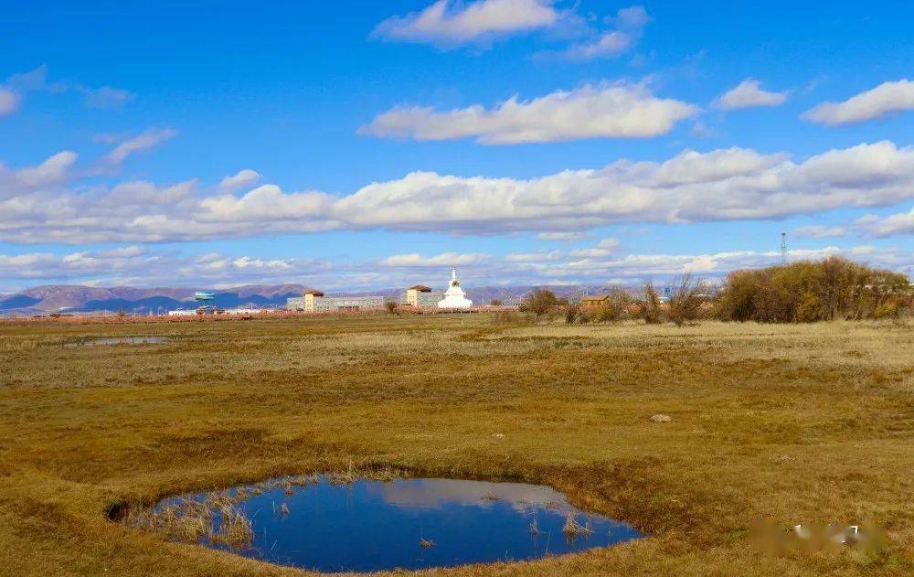五无甘南十有家园秀美的河曲马场湖