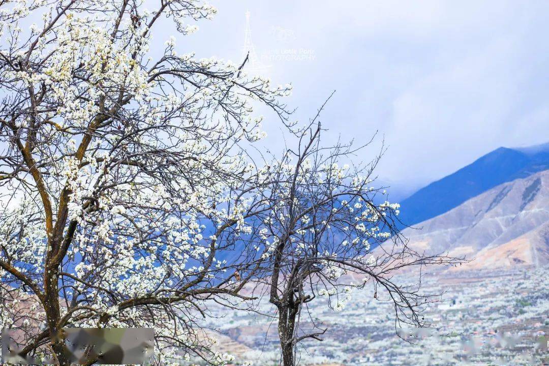 严重低估|别再叫它川西小瑞士！这座被严重低估的「中转站」，低调绽放着诗里的绝美花海！