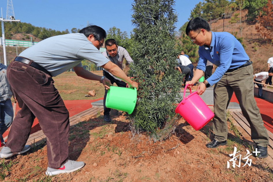 兴华高速：植树添新绿，不负好春光 何苑妮 活动 树苗