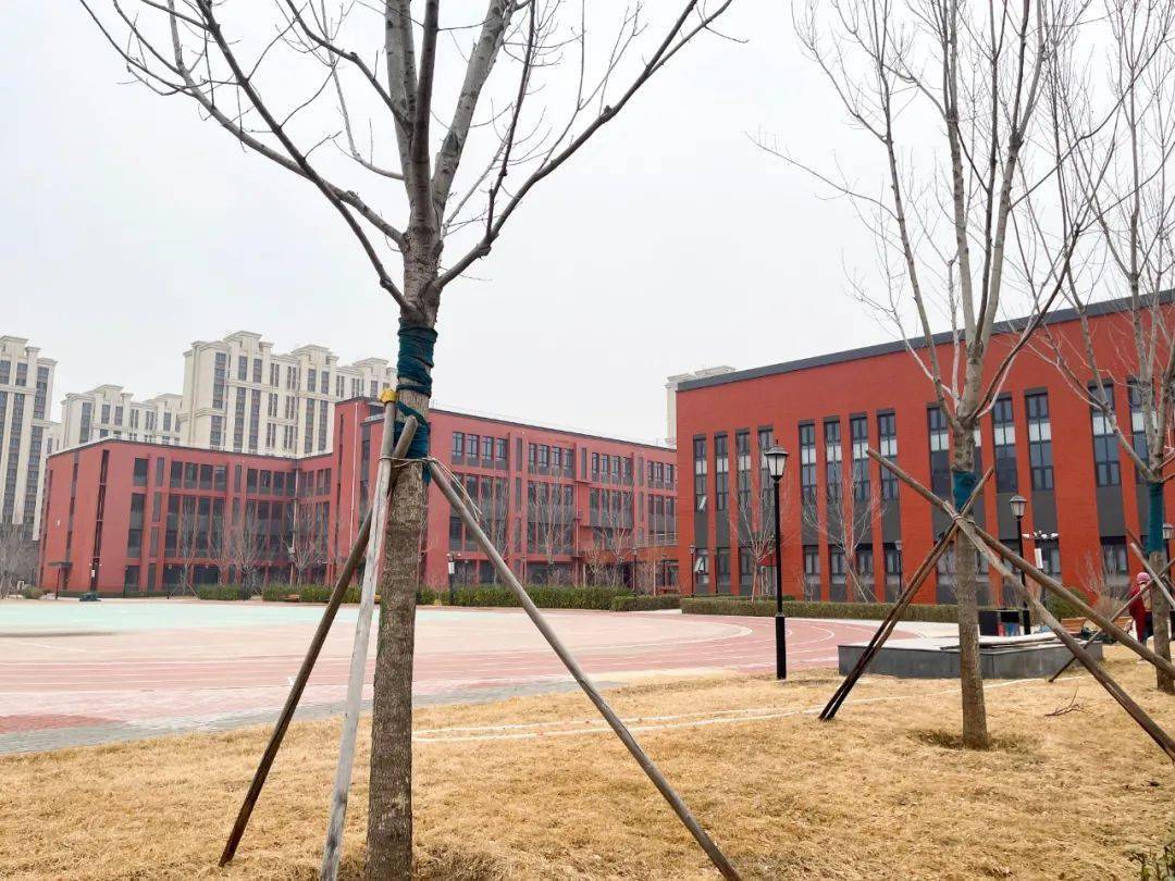 翠微小学大兴校区图片