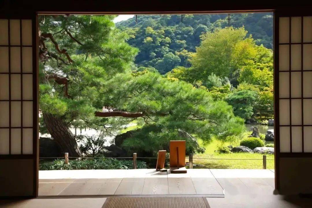 禅意庭院诗意心境庭前风韵美到窒息