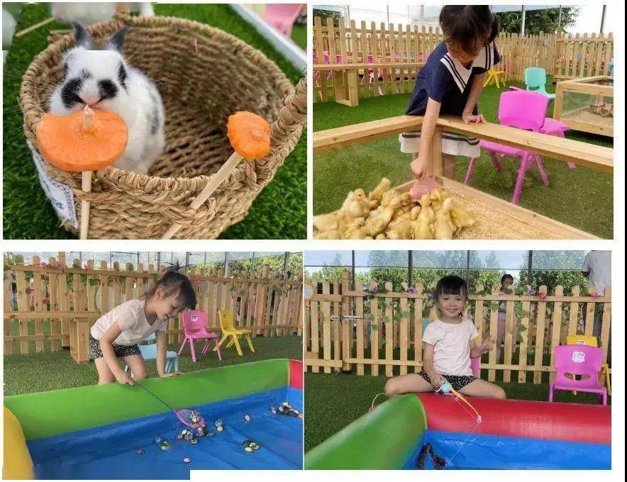 广州花都志惠农场萌宠亲子乐园99元2大2小套票观光游乐8选5萌宠乐园