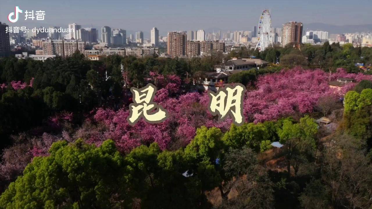 你的城市叫什么我的城市叫昆明四季如春我可能一辈子都不会离开这里