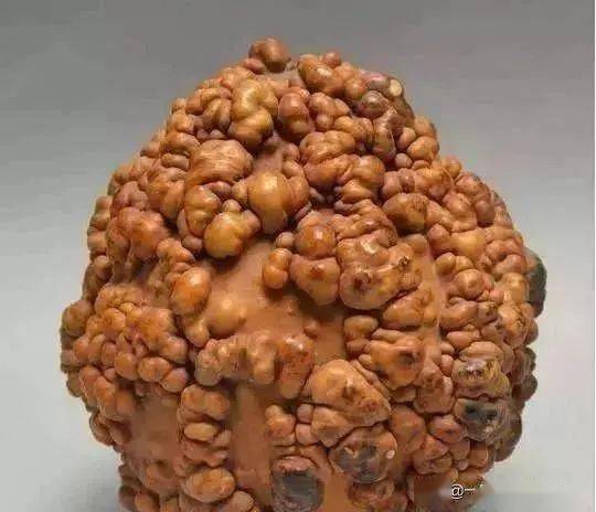 文玩圈里的奇葩文玩万物皆可盘