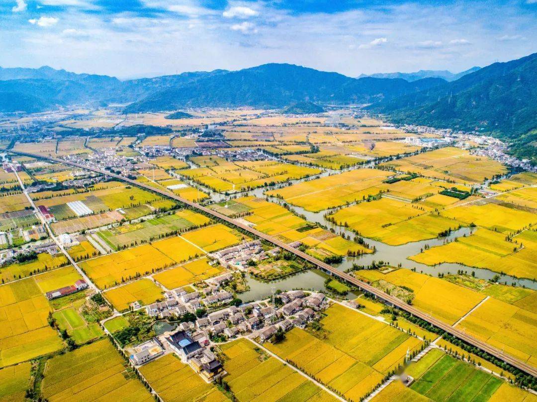 共享社幸福里十里塘河情万亩金粮仓昆阳镇五大举措助推共同富裕