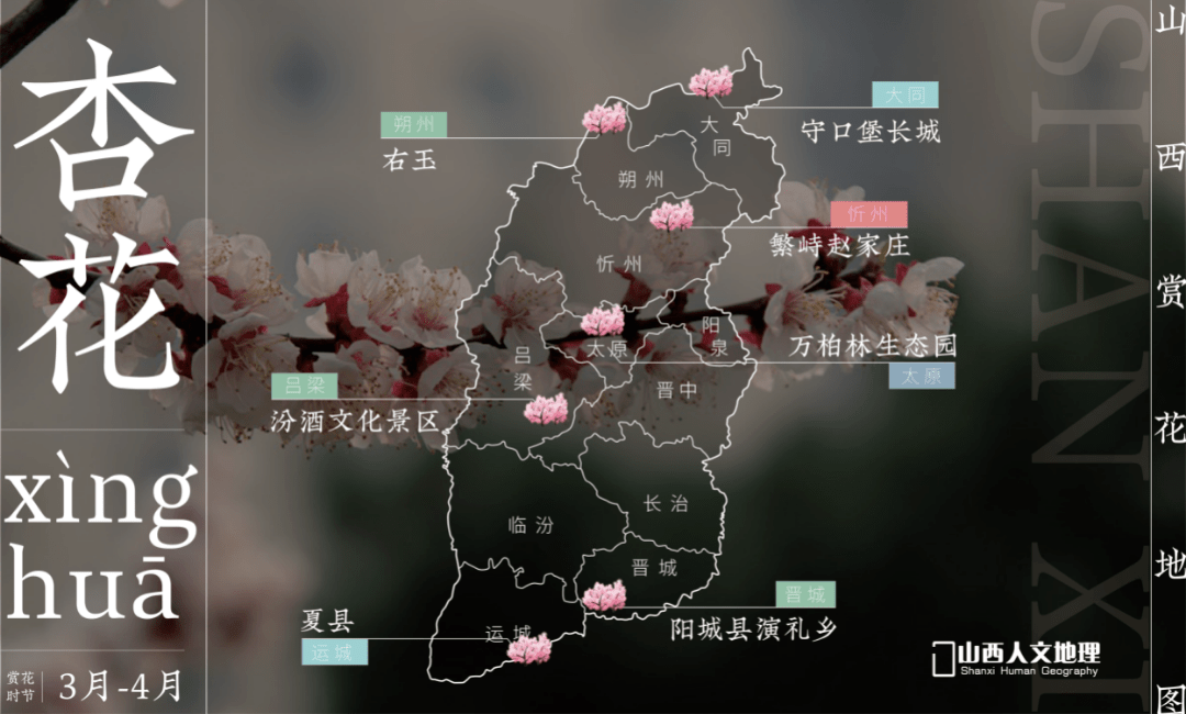 来了山西赏花花花花花花地图