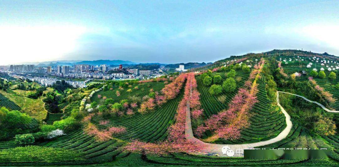 茶海一田家溝一萬花源一七彩部落一核桃壩一中國茶工業博物館)路線二