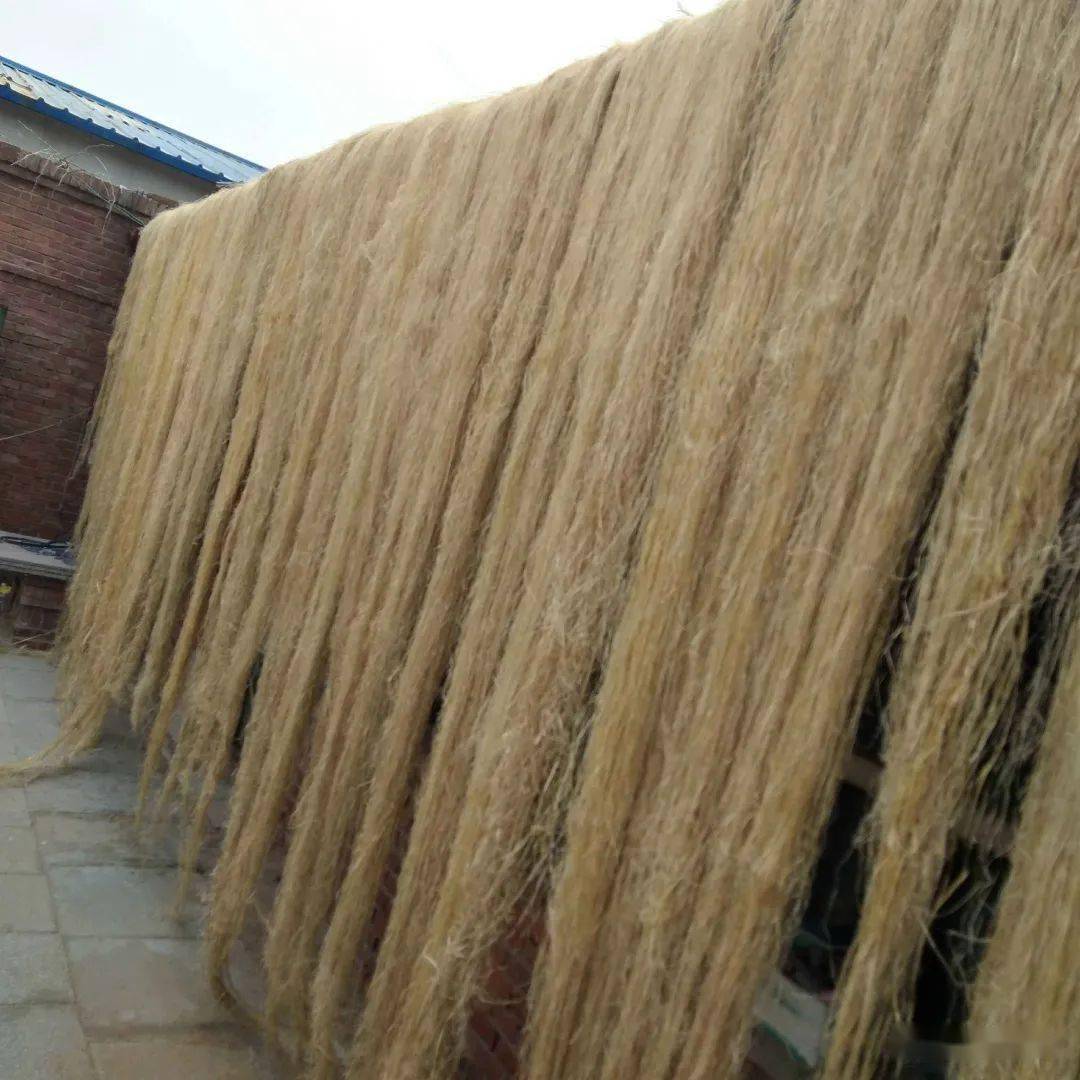 本溪县有个东麻户还有个西麻户