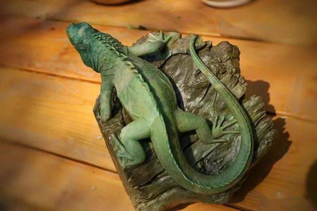 这个蜥蜴雕刻的神了不说还以为是只真的变色龙太灵动了