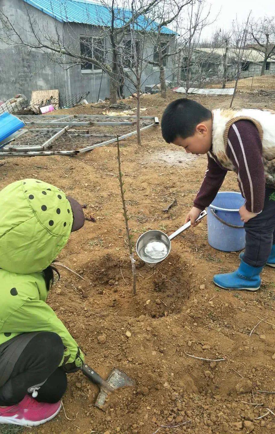 植希望树未来我市多所学校开展植树节相关活动